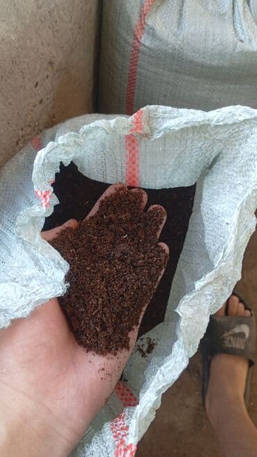 удобрения калий: Перегной в мешках, сеянный, пятилетней выдержки — 1