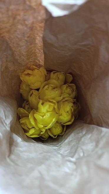 цветы ромашка: Пышный букет тюльпанов с махровыми лепестками. Оттенок — нежно‑розовый — 2