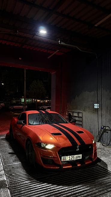 лиса на колесах: Ford Mustang: 2017 г., Купе — 2
