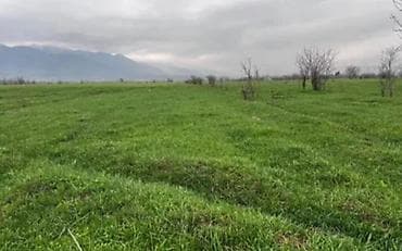 купить землю сельхозназначения: 3 соток, Для сельского хозяйства, Генеральная доверенность — 2