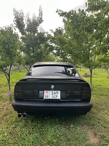 Унаа: BMW 5 series: 1995 г., 2 л, Кол менен иштөөчү, Бензин, Седан — 2
