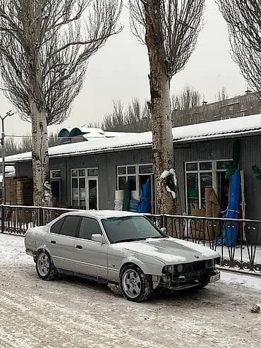 BMW 5 series: 1992 г., 2.5 л, Механика, Бензин