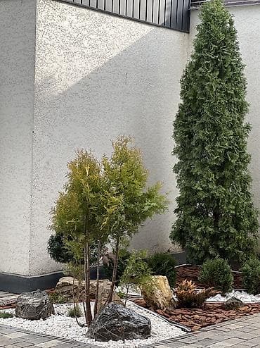 Дизайн, проектирование: Ландшафтный дизайн авто полив водопады пруды водоемы ручьи посев — 8