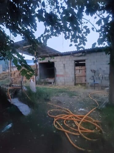 продаю дом новопакровке: Дом, 84 м², 5 комнат, Собственник, Косметический ремонт — 5