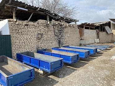 обмен курей: Газоблок аппарат — 2
