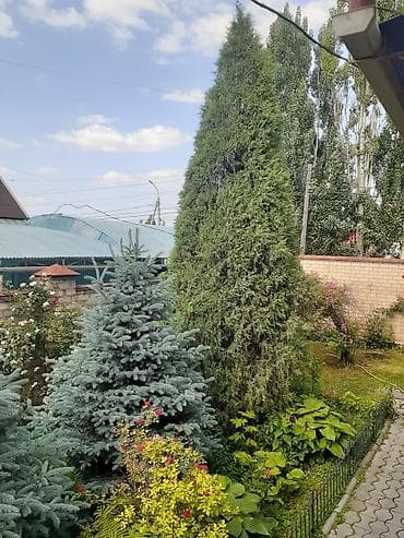 Үйлөрдү сатуу: 360 м², 10 бөлмө — 8