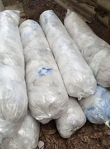 оптом кийим: Пластик кабыл алуу, 2 - HDPE (ПВД) — 2