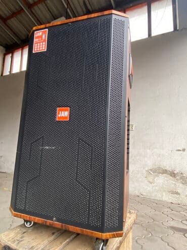 микрофон ош: Аренда музыкальная колонка подключение bluetooth два микрофона есть — 4