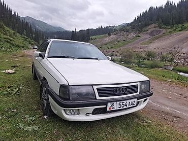 краски на авто: Audi 100: 1984 г., 1.8 л, Механика, Бензин, Седан — 9