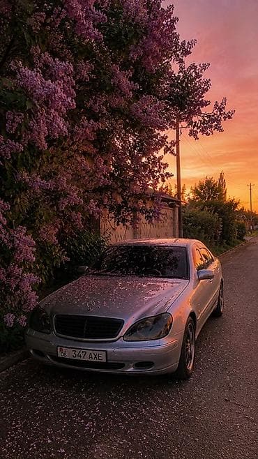 v class: Mercedes-Benz S-Class: 2000 г., 3.2 л, Газ, Седан — 3
