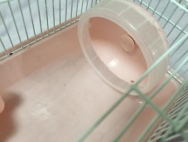 🐹 Продаётся новая, красивая клетка-переноска в нежно-розовом цвете! В — 3