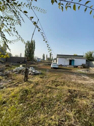 продажа домов в дмитриевке: 35 соток, Для сельского хозяйства, Красная книга — 4