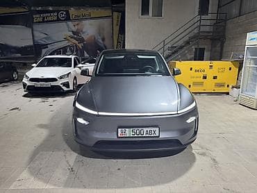 surron light bee x: Tesla Model Y: 2025 г., Автомат, Электромобиль — 4