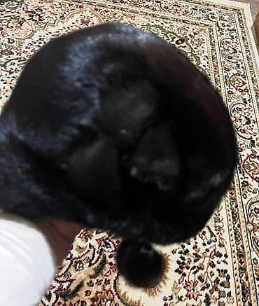 Шапкелер: Женс норковая шапка
состояние почти новая — 2