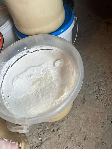 тун азык: Тон май сатылат — 2