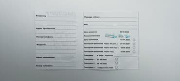 Продажа собак: Немецкая овчарка, 3 месяца, Самка, С прививкой — 7