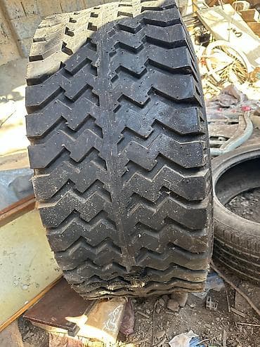 Шины на прицеп сельхозтехника at lalafo.kg Шины на прицеп сельхозтехника