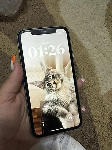IPhone 11, Чехол