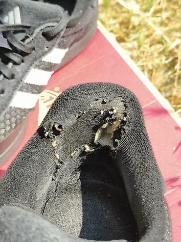 кийит: Эркектердин кроссовкасы, 42.5, Adidas, Колдонулган, түсү - Кара — 5