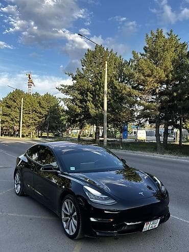 мап дачик: Tesla Model 3: 2019 г., Электромобиль, Лифтбек — 5