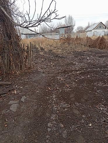 бетоный забор: Дом из шлакоблока с односкатной крышей из волнистых листов. Стены — 7