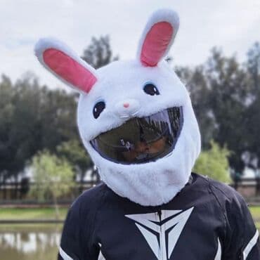 толстовки бмв: Чехлы для шлема Злой Заяц . Добрый Зайчик Дед Мороз и другие — 9