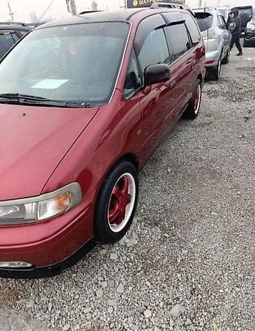 ноускат одиссей: Honda Odyssey: 1995 г., 2.3 л, Автомат, Бензин, Универсал — 3