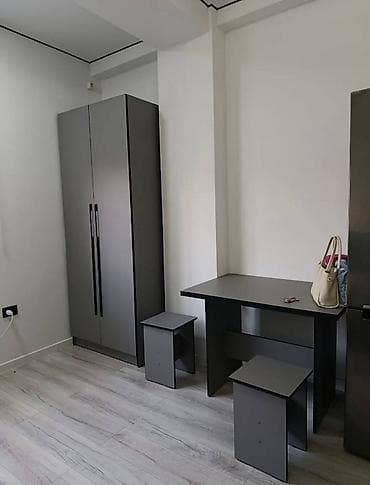 Квартиры: Студия, Риэлтор, Без подселения, С мебелью частично — 3