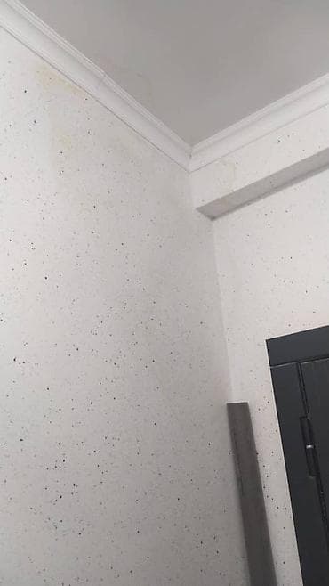 solutions elementary: Шпаклёвщиктер и керек, Подъезд объем коп - Фактура: ровная матовая — 1