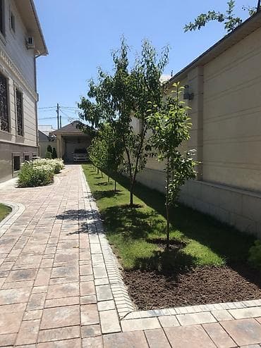 газонная трова: Сеем газон!☘️☘️ Посев газона🍀🍀 Косим газон🌱🌱 Травим — 9