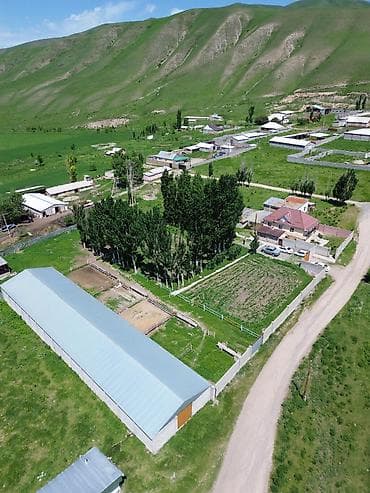 карпинка чуй: Кошара, 50 соток, Действующий, Частично с оборудованием, Электричество, Канализация, Отопление — 6