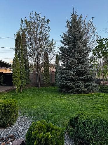 250 м², 6 бөлмө, Жаныбарлар менен болот — 7