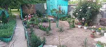 дом и сад: Продается дом с мебелью и техникой. 12 соток земли. в Бостери. Всё — 7