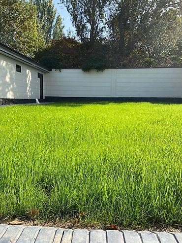 триммеры для газона: Мы профессионально выполняем озеленение территорий любой сложности — — 2