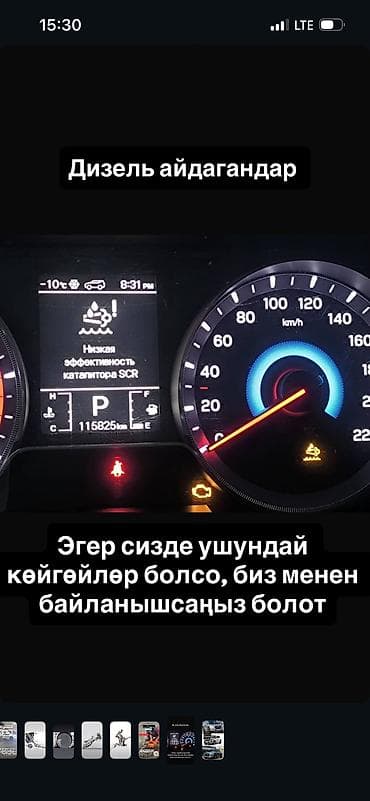 филдер: Профессиональное удаление и отключение: - DPF (сажевый фильтр) - — 2
