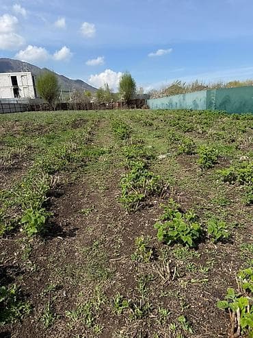 кызыл бирдик: 15 соток, Айыл чарба үчүн, Кызыл китеп — 2