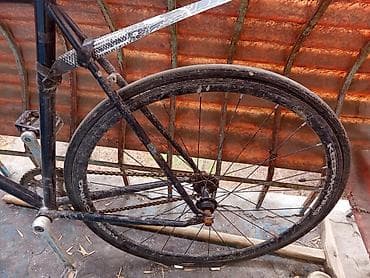 single speed: Городской велосипед, Рама L (172 - 185 см), Б/у — 4