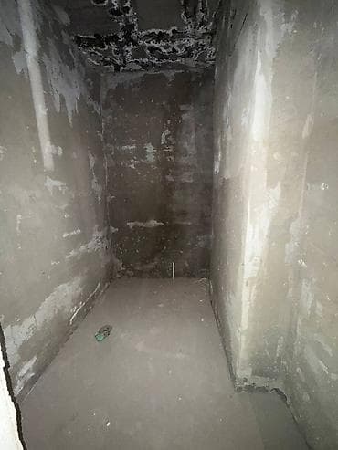 восточная промзона: 1 комната, 65 м², Элитка, 10 этаж, Готовая ПСО (под самоотделку) — 3
