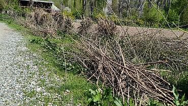 уголь шабыркуль бишкек: Отун Терек, Өзү алып кетүү — 9