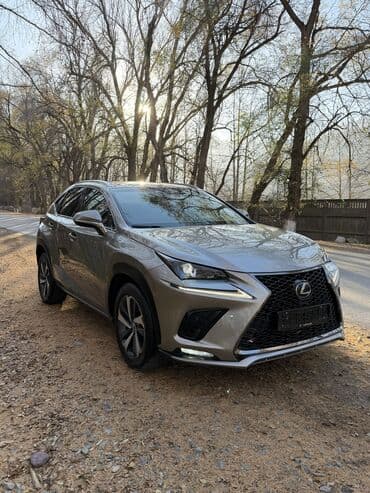 крыло нексия 2: Lexus NX: 2018 г., 2.5 л, Вариатор, Гибрид, Кроссовер — 2