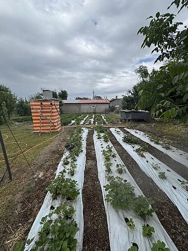Дома: ✨Продаётся дом в с. Сокулук (район Церкви)✨ 🏡Характеристики: • — 5
