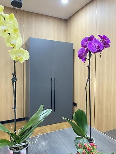 2 ярусный: Шкаф для офиса/дома, 2‑дверный, современный минимализм. - Цвет — 3