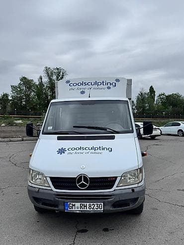удлинённая: Mercedes-Benz Спринтер: 2004 г., 2.7 л, Механика, Дизель, Фургон — 2