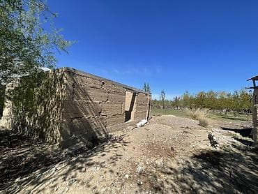 пакет одежды: Плодовый сад/участок с плодовыми деревьями. - Ухоженные ряды — 8