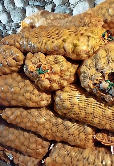 эки кишилик кроват: Картошка Джелли — 1