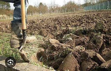 Клининг кызматтары: Аймактарды жыйнап тазалоо, Уборка двора и сада — 2