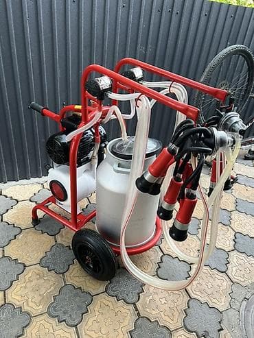 Доильный аппарат на тележке, двухпостовой Описание: - Передвижной — 2