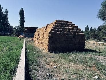 кеклик бишкек: Арпа саман камыш аралаш 1400 тук бар — 3