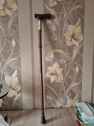 мужской зонт трость: Трость складная регулируемая Армед (модель FS932L) и рабочий тонометр — 1