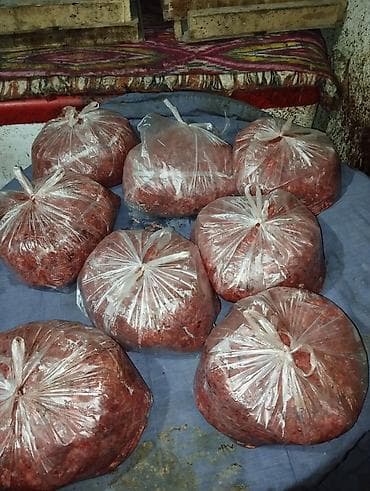 алабай щенки: Фарш говядина для собак и кошек свежий без запаха и мелких костей — 2